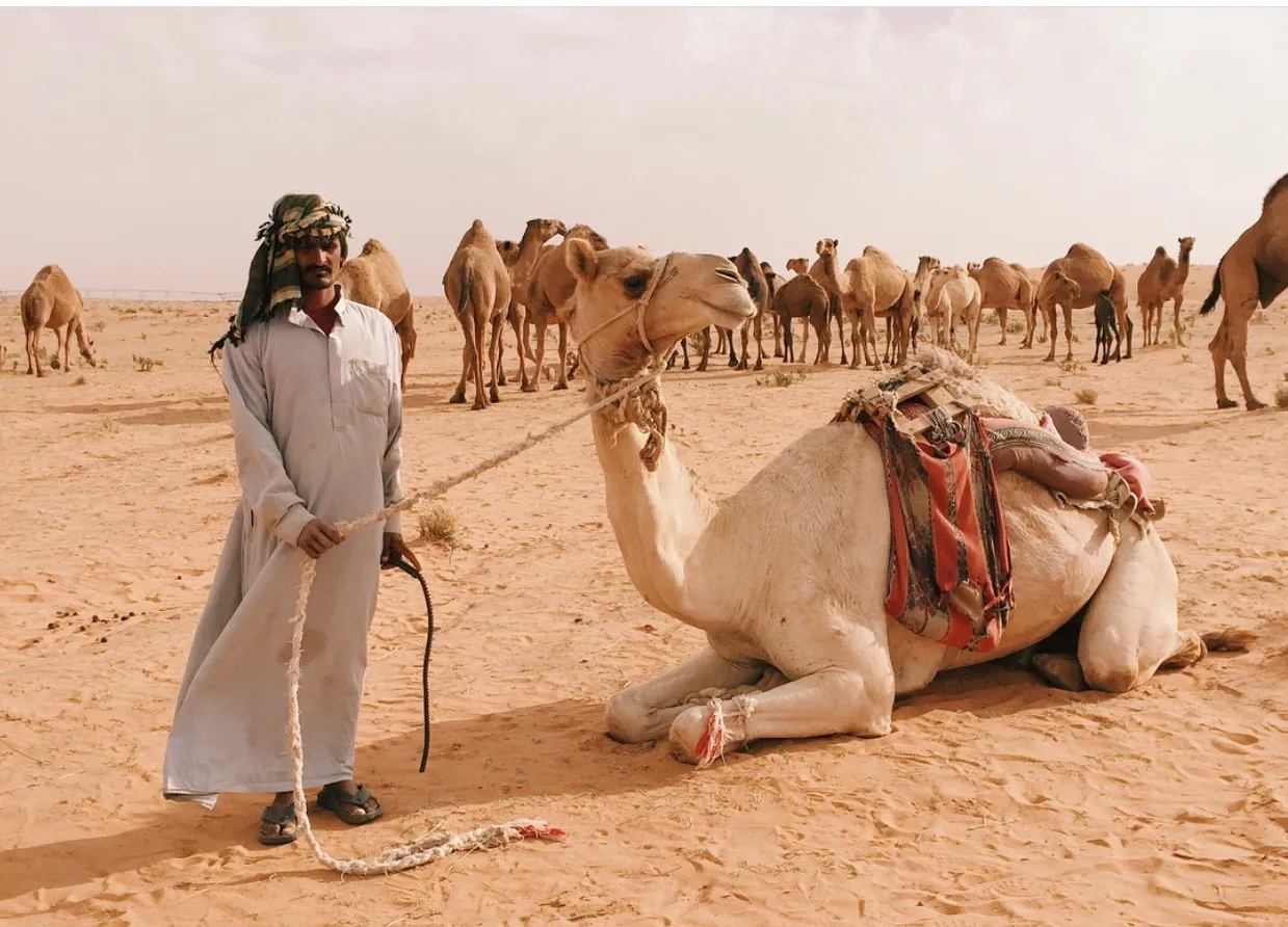 Desert in Saudi Arabia