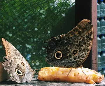 Views in Costa Rica