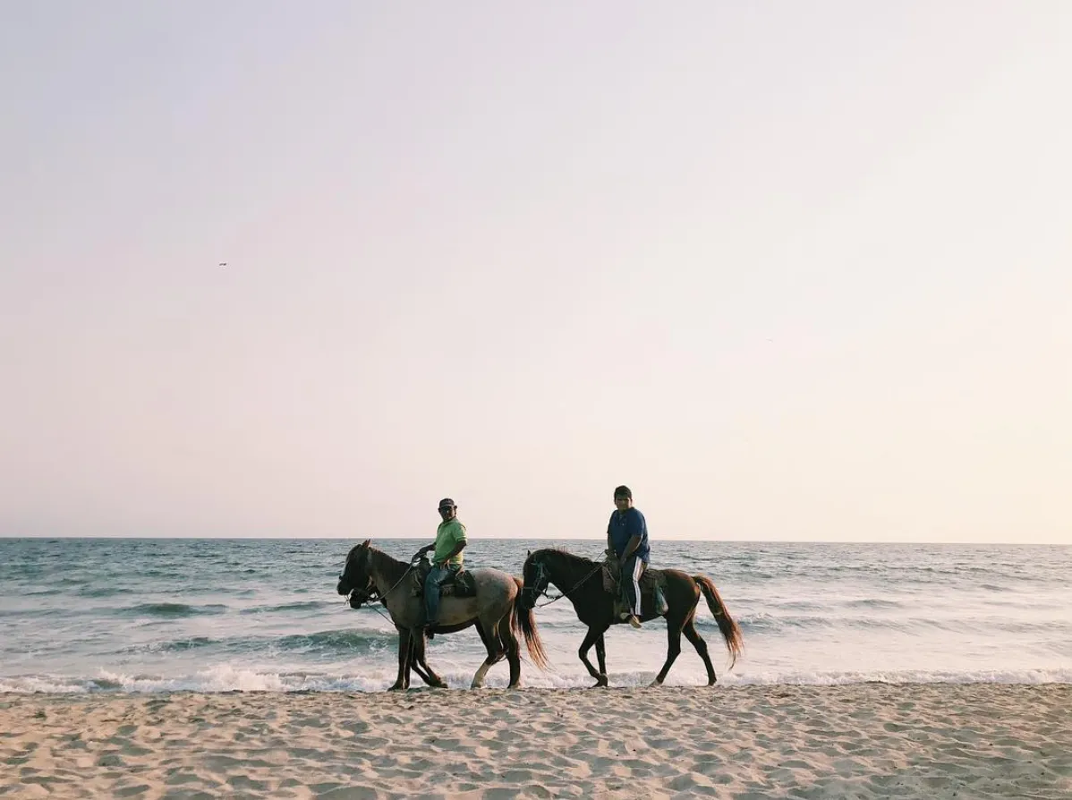 Beach in Puerto Vallarta, Mexico