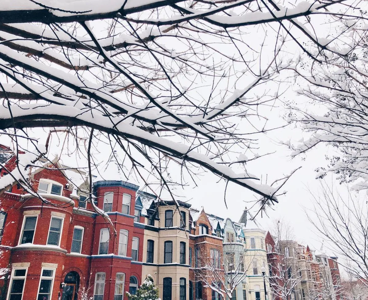 Walk in Washington DC